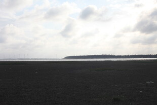 海边黑沙滩与远处岛屿