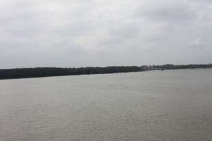 宽阔江面与远岸景色