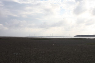 广阔原野上的天空景象
