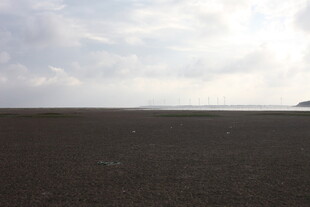 广袤田野与天际线