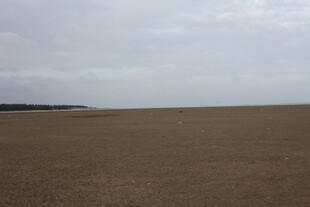 广袤沙地与天际线景观