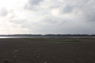 广袤田野与阴沉天空景象