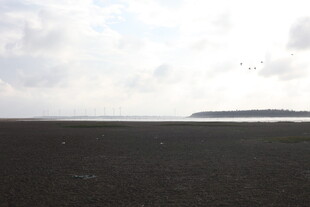 广阔黑土地与远处岛屿