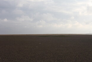 广袤大地与天际的云层