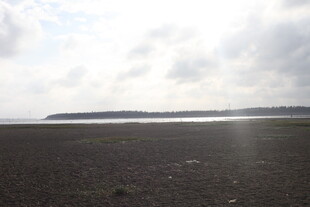 空旷原野与远处水域景观