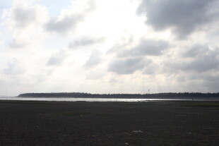 湖畔天空下的开阔景致