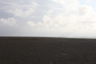 广阔黑土地与天际白云