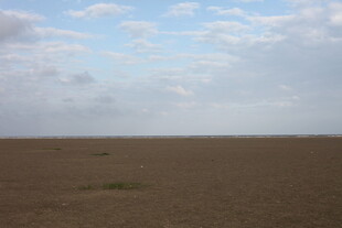 广袤田野与蓝天白云景象
