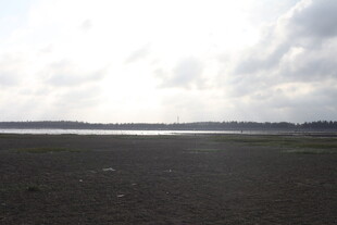 广阔原野上的云层景观