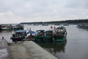 港口停泊的多艘船只