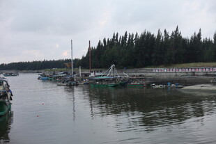 宁静港湾中的停泊船只