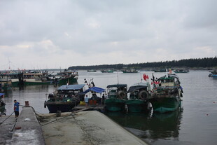 渔港码头停泊的众多船只