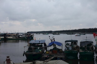 港口停泊的多艘船只