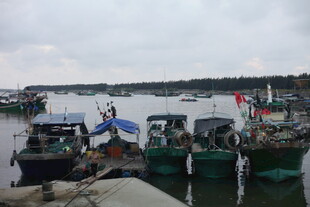 港湾中的停泊渔船