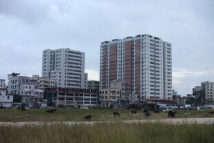 城市高楼与前方开阔草地