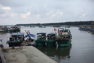 渔港码头停泊的众多渔船