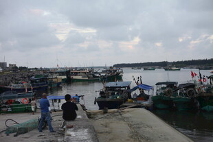 码头渔船与行人景象