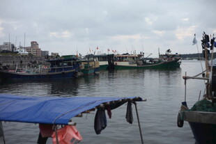 渔港停泊的船只景象