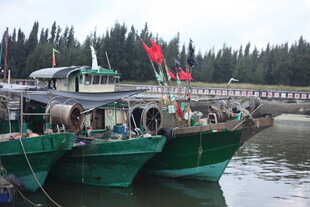 河畔停泊的绿皮船只