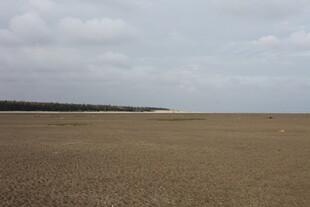 广阔平坦的空旷沙地景观