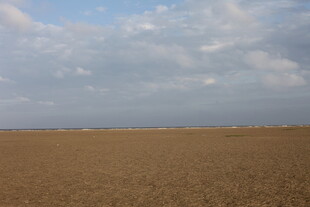 广袤田野与蓝天白云