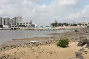 海滨城市岸边风景
