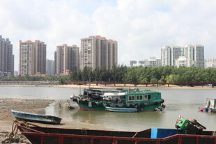 江边船只与林立高楼景观