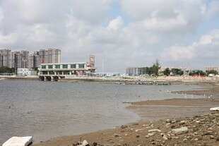 海滨城市岸边风景