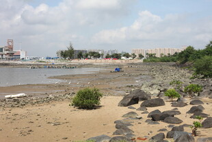 海滨沙滩岩石风景图