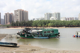 江边停泊的船只与城市景观