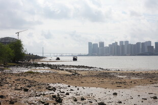 江边滩涂与远处城市景观