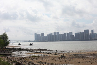 海滨城市风光远眺