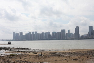 海滨城市天际线景观