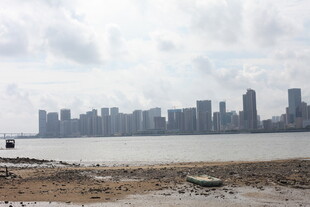 海滨城市天际线景观