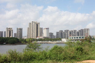 河畔高楼与葱郁植被景观