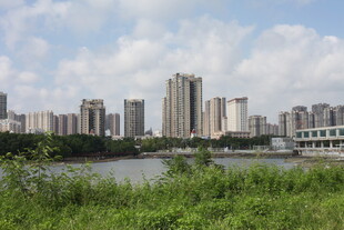 河畔高楼与绿植景观