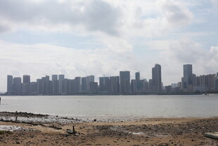 江边城市天际线景观