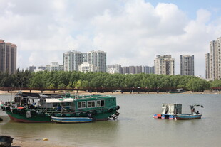 江边停泊的船只与城市景观