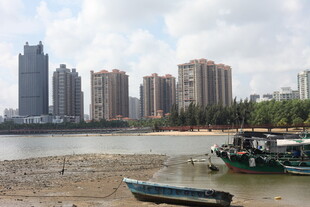 河畔高楼与停泊船只景观