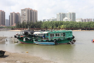 江边停泊的几艘特色船只