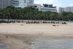 城市边的宁静沙滩风光