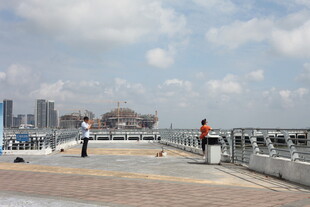 城市桥梁上的行人观景画面