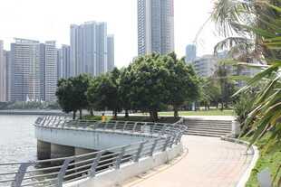 城市河畔的优美步道景观