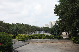 户外绿植环绕的开阔场地