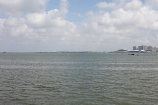 广阔海面与远处城市景观