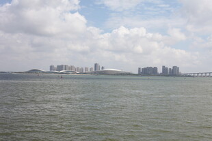 海上远眺城市建筑群