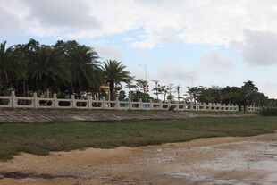 海边围栏与葱郁树木景观