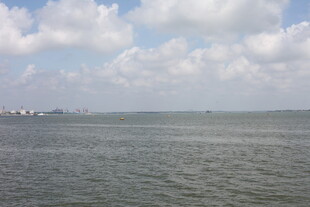 广阔海面与远处城市天际线