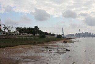 海滨风光城市与自然交融