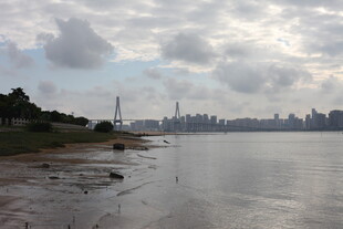 江边城市风光远眺
